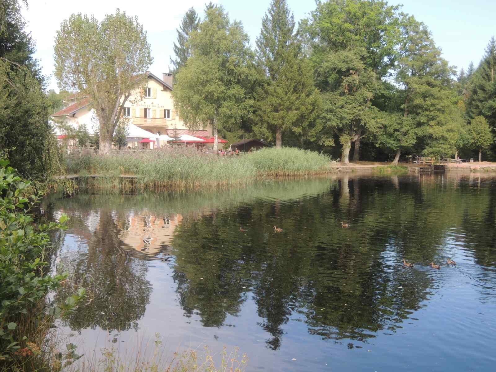 1175913736photo(34)