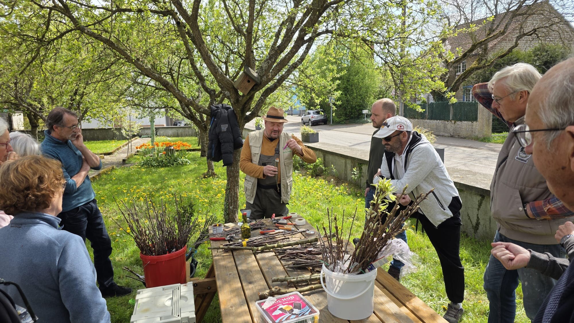 2026 04 15 Arbo - Jardin partagé atelier greffe (2)