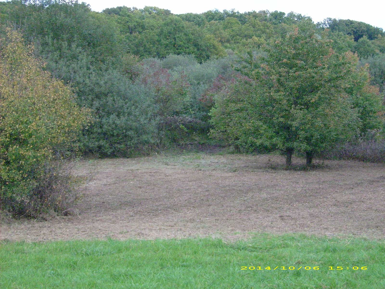 2137519483travaux_2