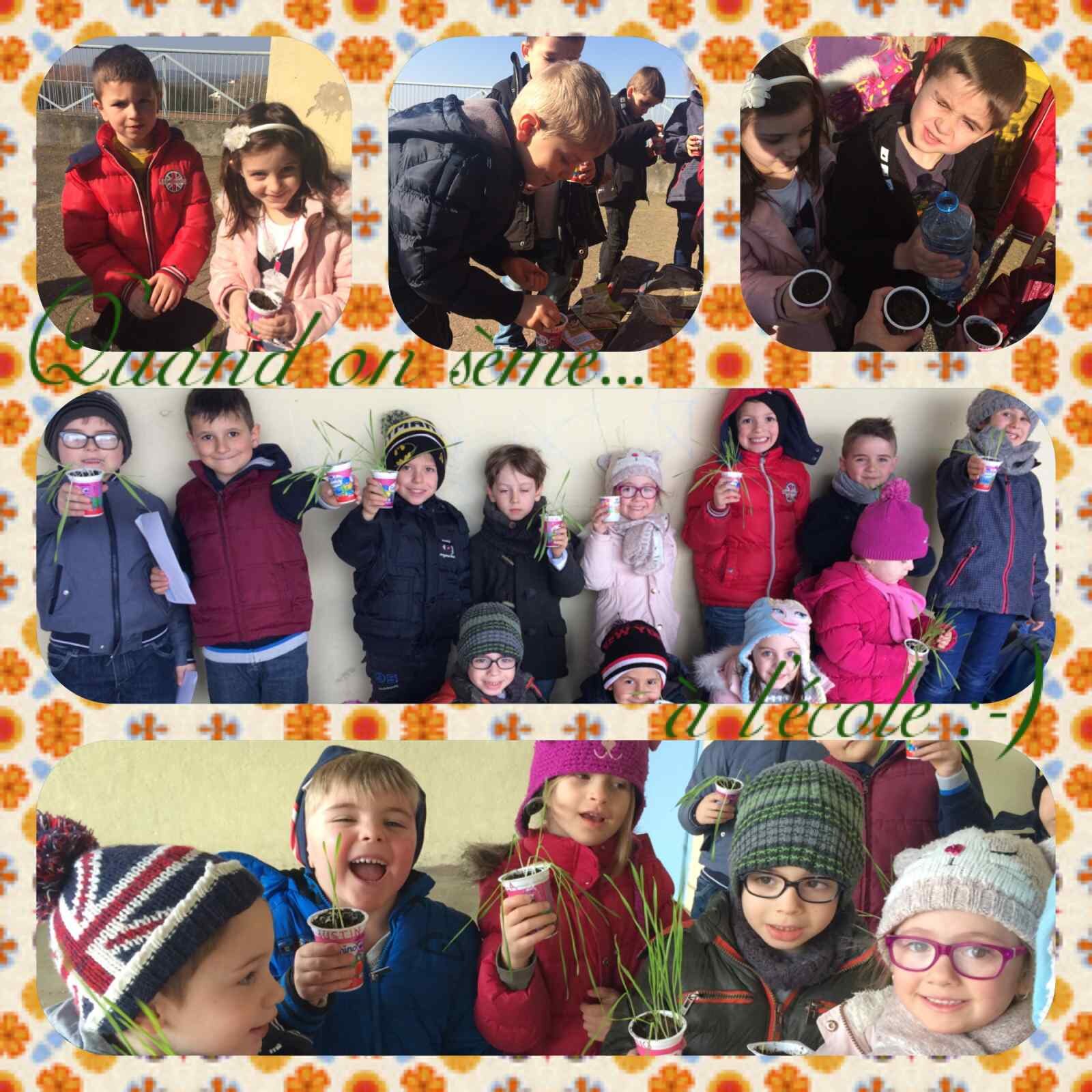 35440470IMG_4401