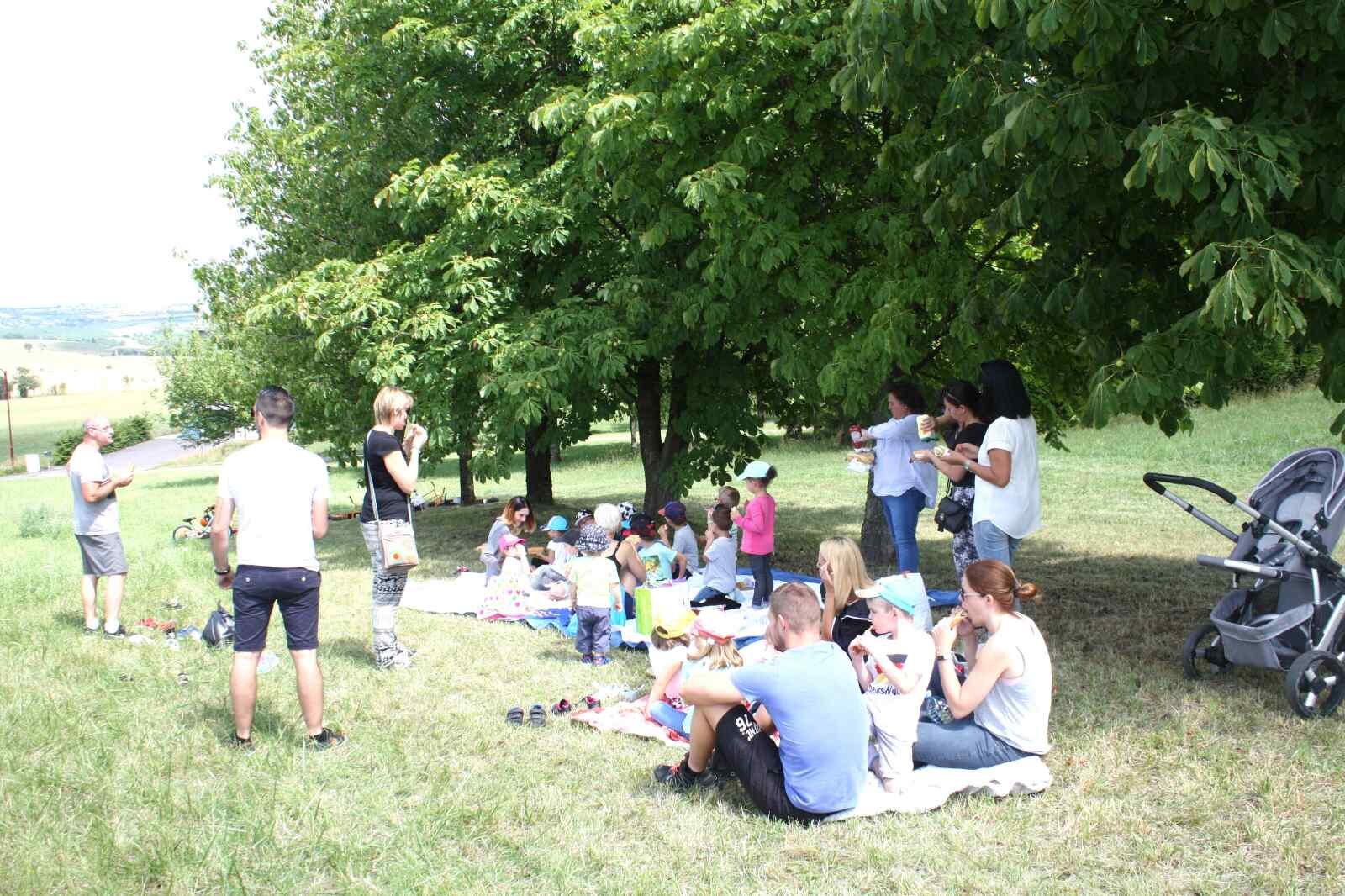 371396246IMG_7421
